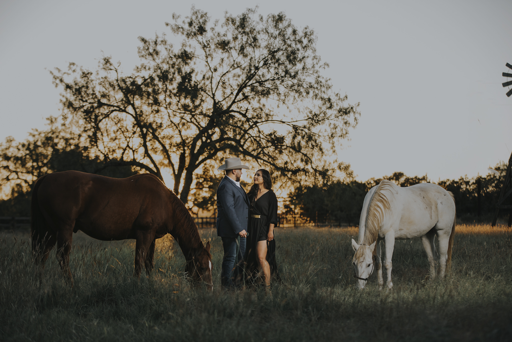 Engagement-Session-with-Horses