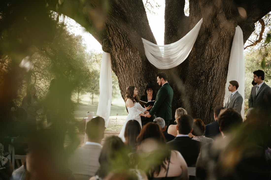 gallery norman 2FF_36E_8319219_3879054575_5